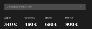 TJM développeur