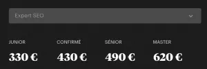 TJM expert SEO SEA