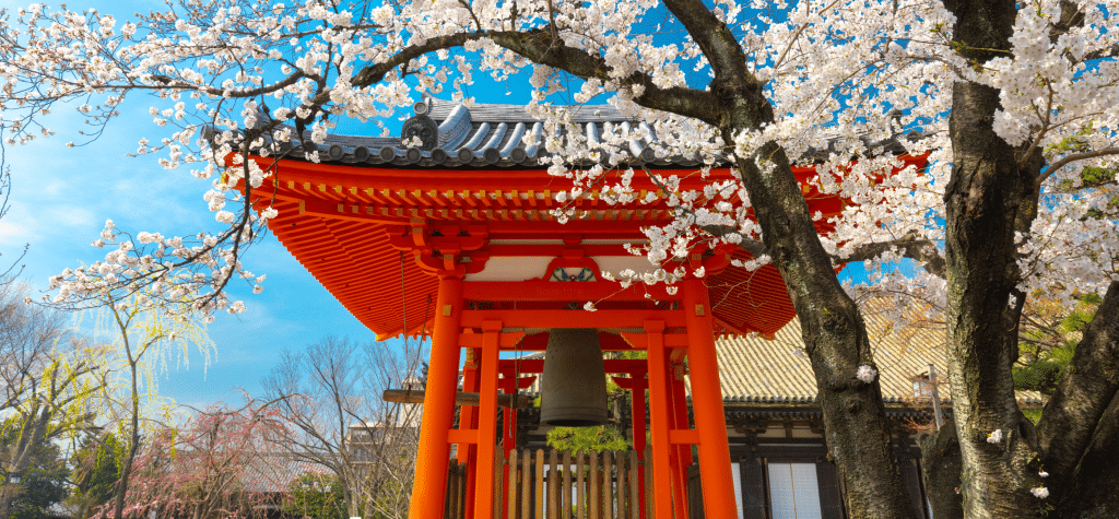 nomad japon